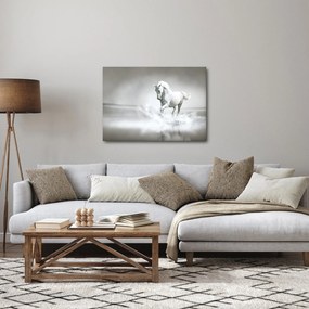 Obraz - Biały koń (70x50 cm)