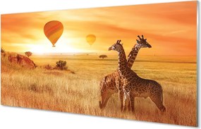 Panel szklany do Kuchni Żyrafy i Balony na Niebie