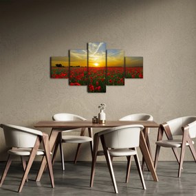 Obraz pola maków (125x70 cm)