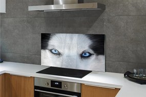 Szkło Ozdobne do Kuchni Przenikliwe Oczy Wilka