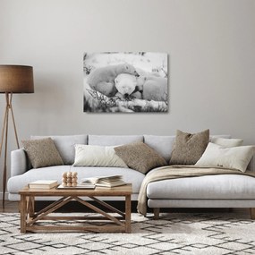 Obraz na szkle - Niedźwiedzie polarne (70x50 cm)