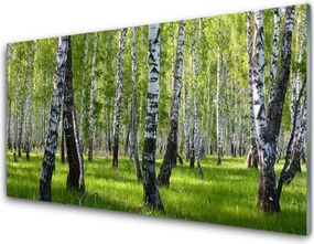 Panel Kuchenny Tajemniczy Bór Sosnowy