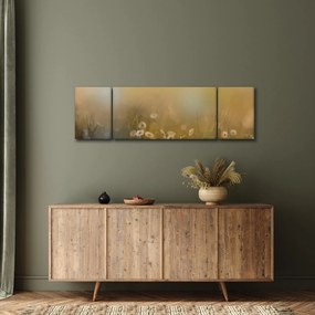 Obraz - Obraz olejny stokrotek (170x50 cm)