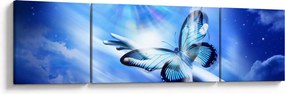 Obraz - Motyl, symbol nadziei (170x50 cm)