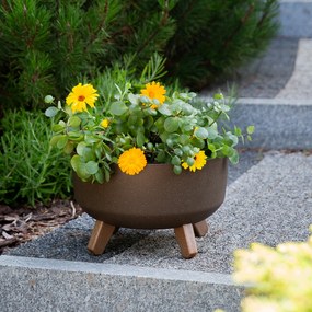 Donica ogrodowa okrągła Gracia Low ECO Wood 28,5 cm kawa PROSPERPLAST