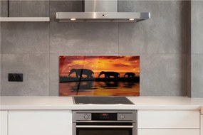 Panel szklany do Kuchni Słonie nad Wadą o Zachodzie