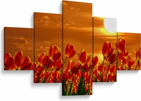 Obraz kwitnącego pola z tulipanami (125x70 cm)