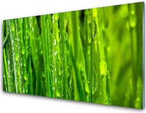 Szkło do Kuchni na Ścianę Naturalna Tekstura Zielonej Trawy