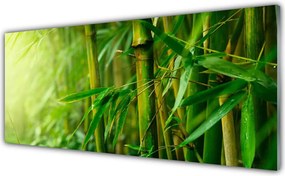 Panel Kuchenny Świeże Pędy Zielonego Bambusa