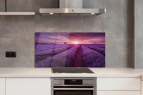 Szkło do Kuchni na Ścianę Prowansalski Styl Wrzosów