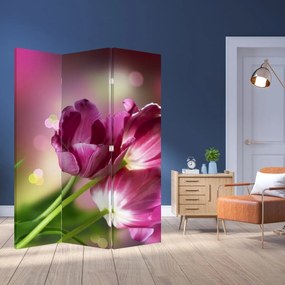 Parawan - Różowe tulipany (126x170 cm)