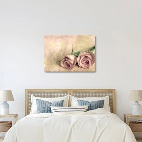 Obraz na szkle - Delikatne róże (70x50 cm)