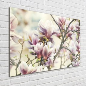 Foto obraz szkło hartowane Magnolia