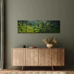 Obraz tarasów ryżowych Tegalalang, Bali (170x50 cm)
