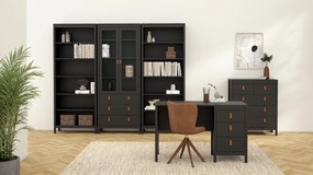 Dwudrzwiowa witryna w kolorze czarny mat Madrid