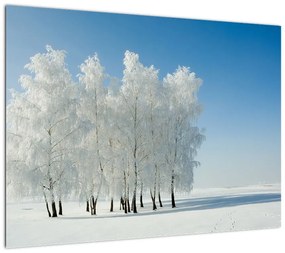 Obraz zaśnieżonego krajobrazu (70x50 cm)
