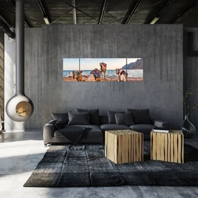 Obraz wielbłądów (170x50 cm)