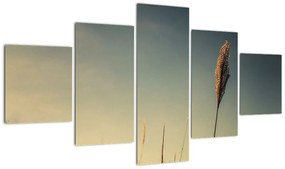 Obraz z trawą (125x70 cm)