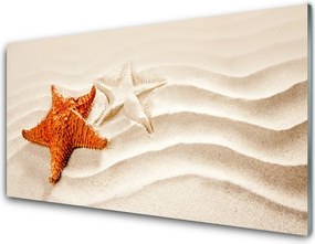 Szkło do Kuchni na Ścianę Rozgwiazda na Złotym Piasku