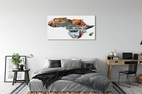 Duży obraz na płótnie Zebra, Żyrafa i Tygrys