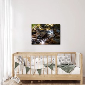 Obraz skalistego strumienia (70x50 cm)