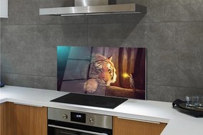 Panel szklany do Kuchni Spotkanie: Tygrys i Człowiek w Lesie