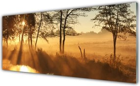 Panel Kuchenny Leśna Gęstwina Drzew