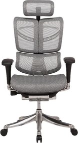 Fotel ergonomiczny z siatki ErgoFly Fly, zgodny z normą BHP