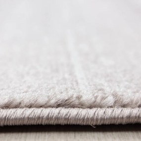 Beżowy chodnik 80x300 cm Plus – Ayyildiz Carpets