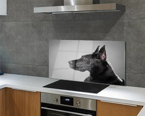 Panel szklany do Kuchni Elegancki Czarny Pies