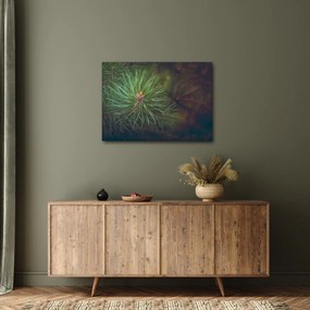 Obraz - Detal sosny (70x50 cm)