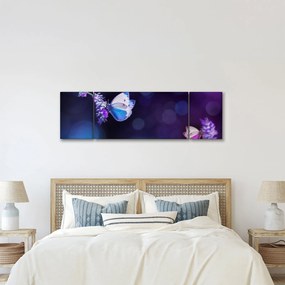 Obraz - Motyle na lawendie (170x50 cm)