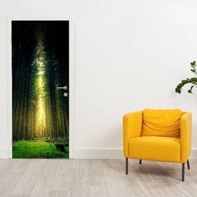 Fototapeta na drzwi - Ciemny las (95x205cm)