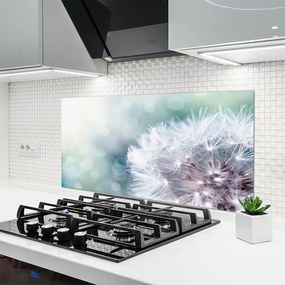 Szkło do Kuchni na Ścianę Puszysty Mniszek Lekarski