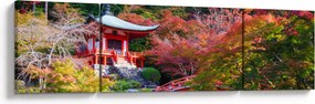 Obraz - Daigodji (170x50 cm)