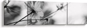 Obraz - Czarno - białe kwiaty (170x50 cm)