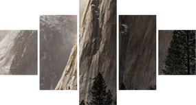 Zdjęcie z Parku Narodowego Yosemite Valley, USA (125x70 cm)