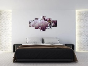 Obraz - Magnolia (125x70 cm)