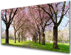 Panel Szklany Aleja w Cieniu Drzew