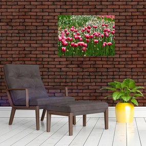 Obraz na szkle tulipanów (70x50 cm)
