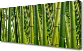 Obraz canvas Gęstwina Zielonego Bambusa