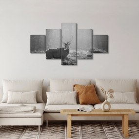 Obraz - Jeleń w lesie, czarno - biały (125x70 cm)