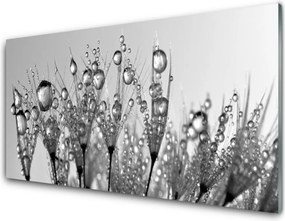 Panel Szklany Botaniczna Forma Abstrakcyjna