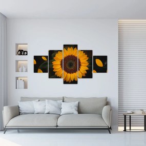 Obraz  - Słonecznik i płatki kwiatów (125x70 cm)