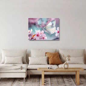 Obraz na szkle - Motyl na drzewie wiśni (70x50 cm)