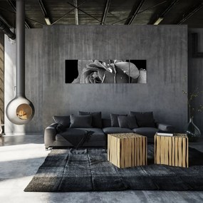 Obraz róży - czarno - biały (170x50 cm)