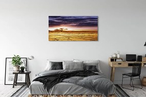 Fotoobraz na płótnie Chmury i Drzewa na Niebie