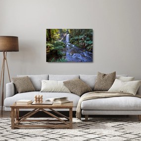 Obraz na szkle australijskiego lasu deszczowego (70x50 cm)