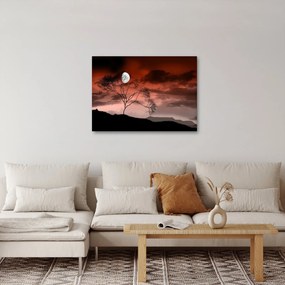 Obraz - Księżyc oświetlający noc (70x50 cm)