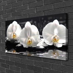 Obraz canvas Subtelny Biały Storczyk